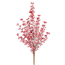 Load image into Gallery viewer, Frosted Red Berry Spray