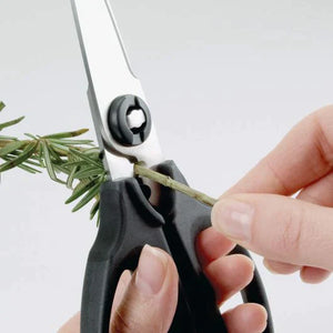 Kitchen Herb & Scissors